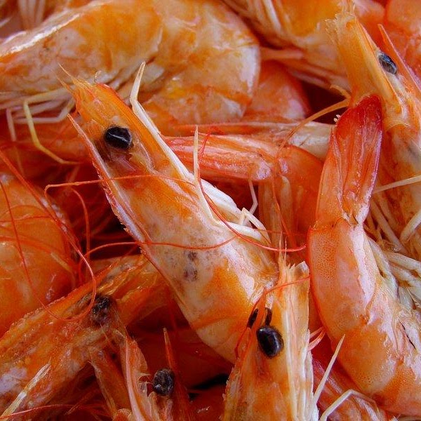 Tiger Prawns